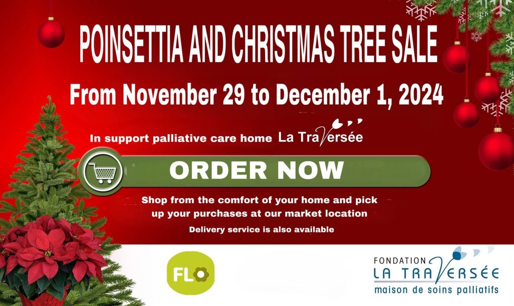 poinsettia and christmas tree sale