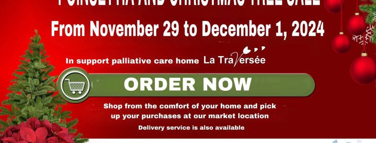 poinsettia and christmas tree sale